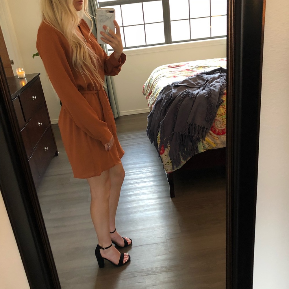 Brown button down Forever 21 dress - Picture 6 of 6